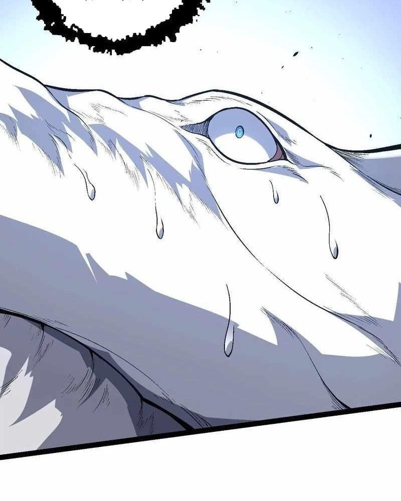 page_51