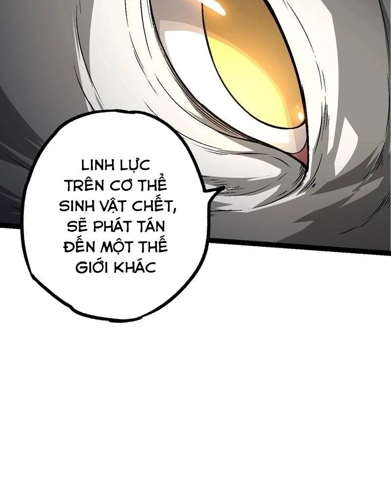 page_51