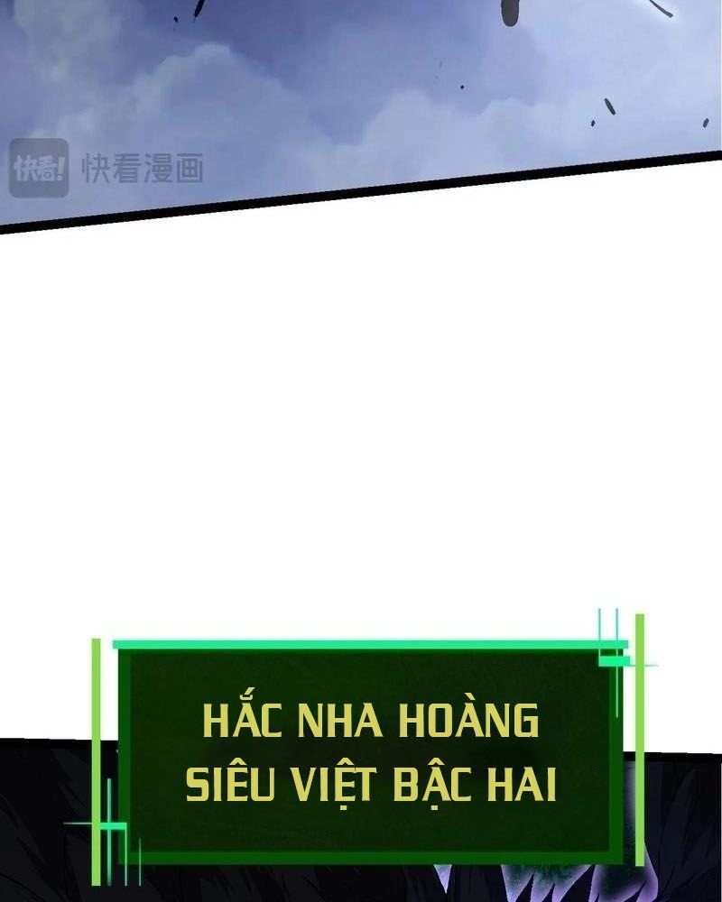 page_44