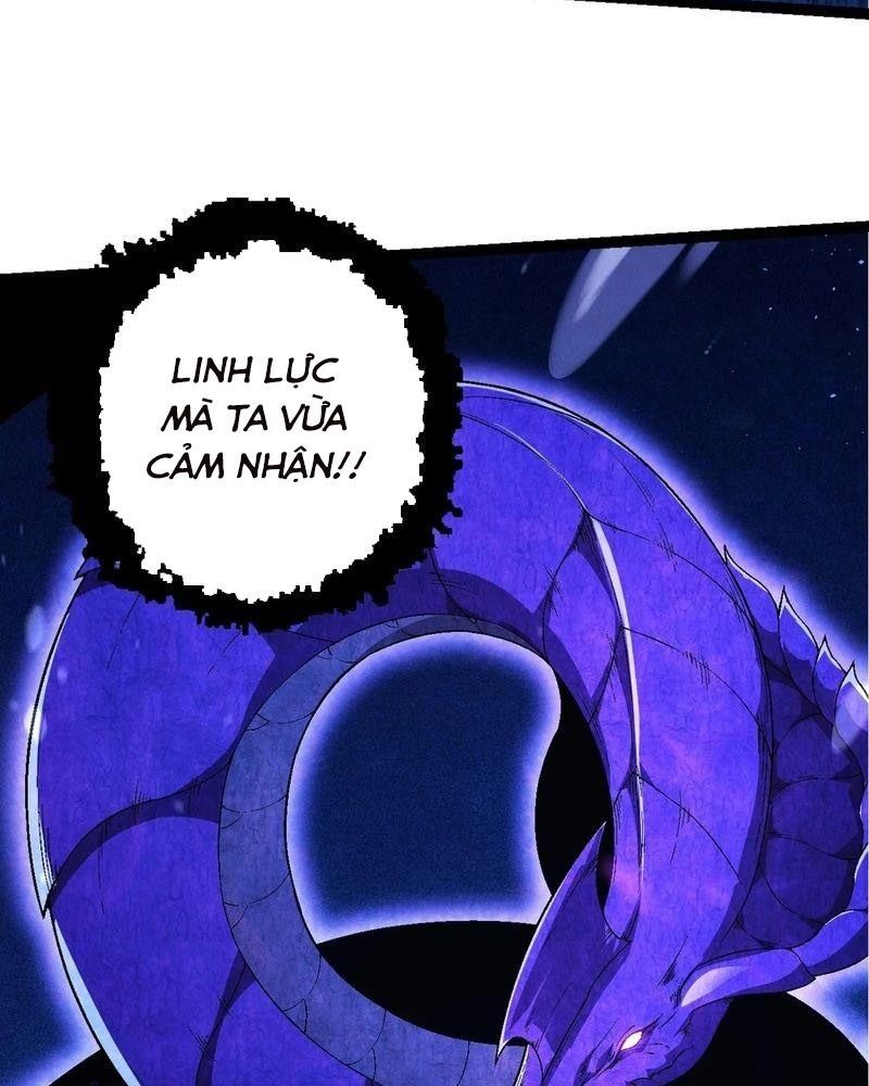 page_26