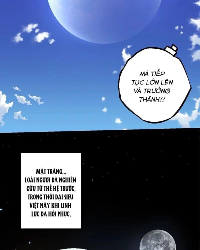 page_35