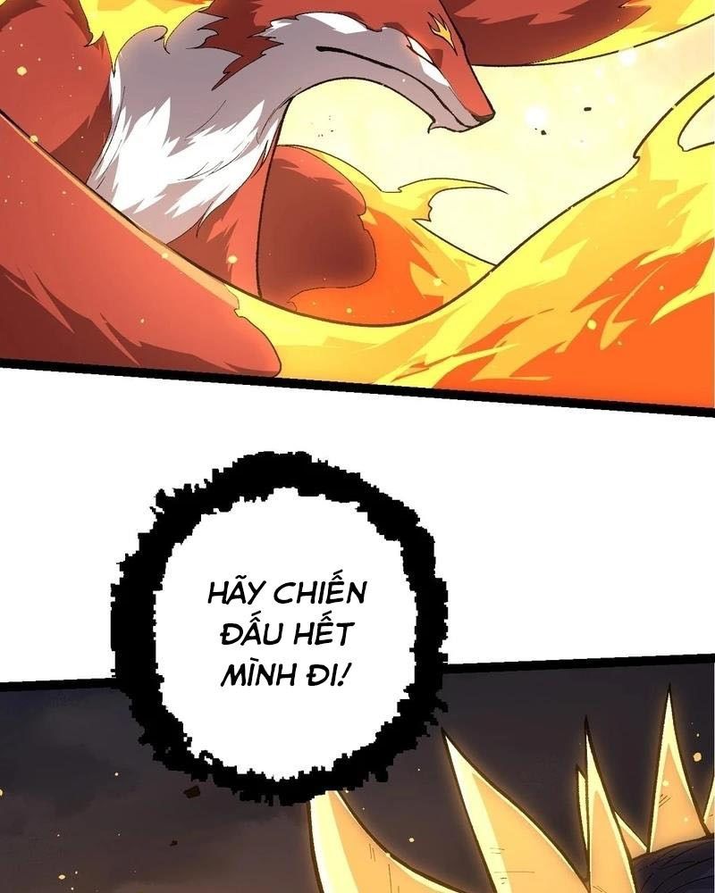 page_43