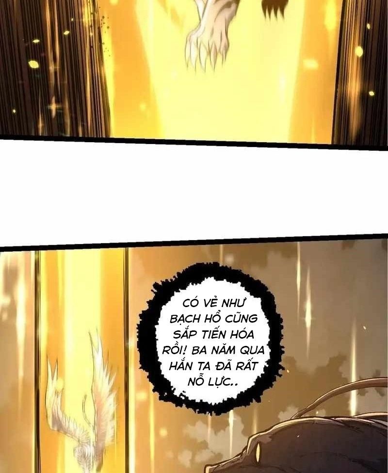page_35