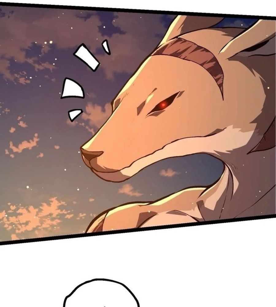 page_29