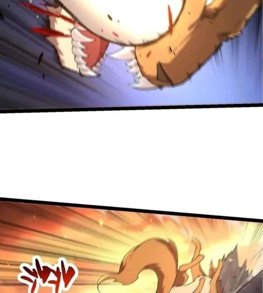 page_66