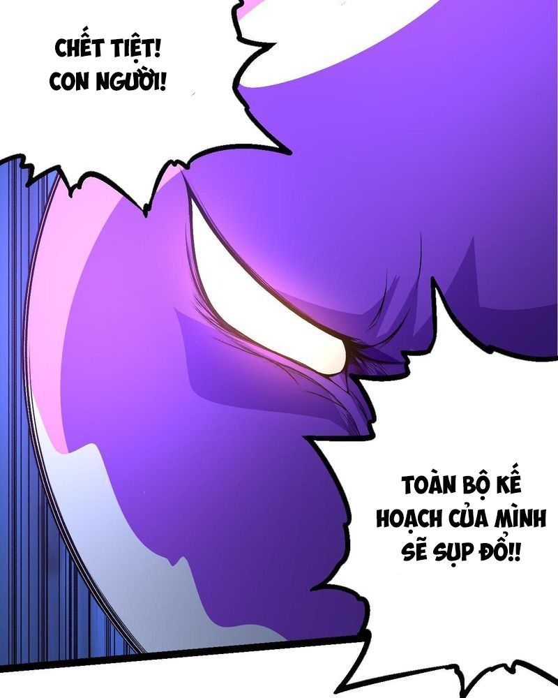 page_41
