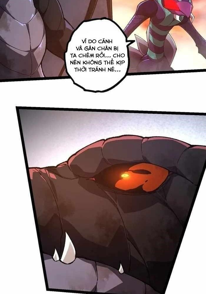 page_42