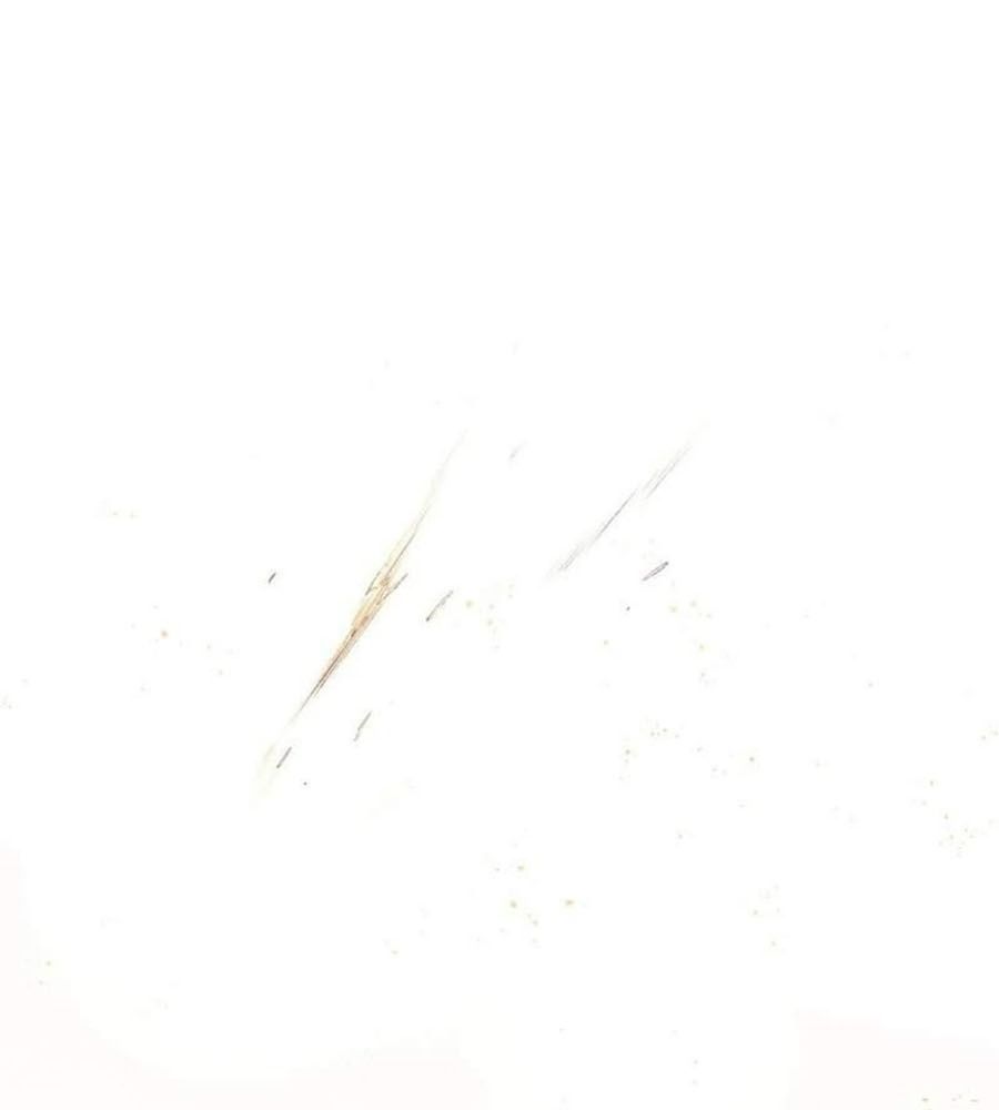 page_38
