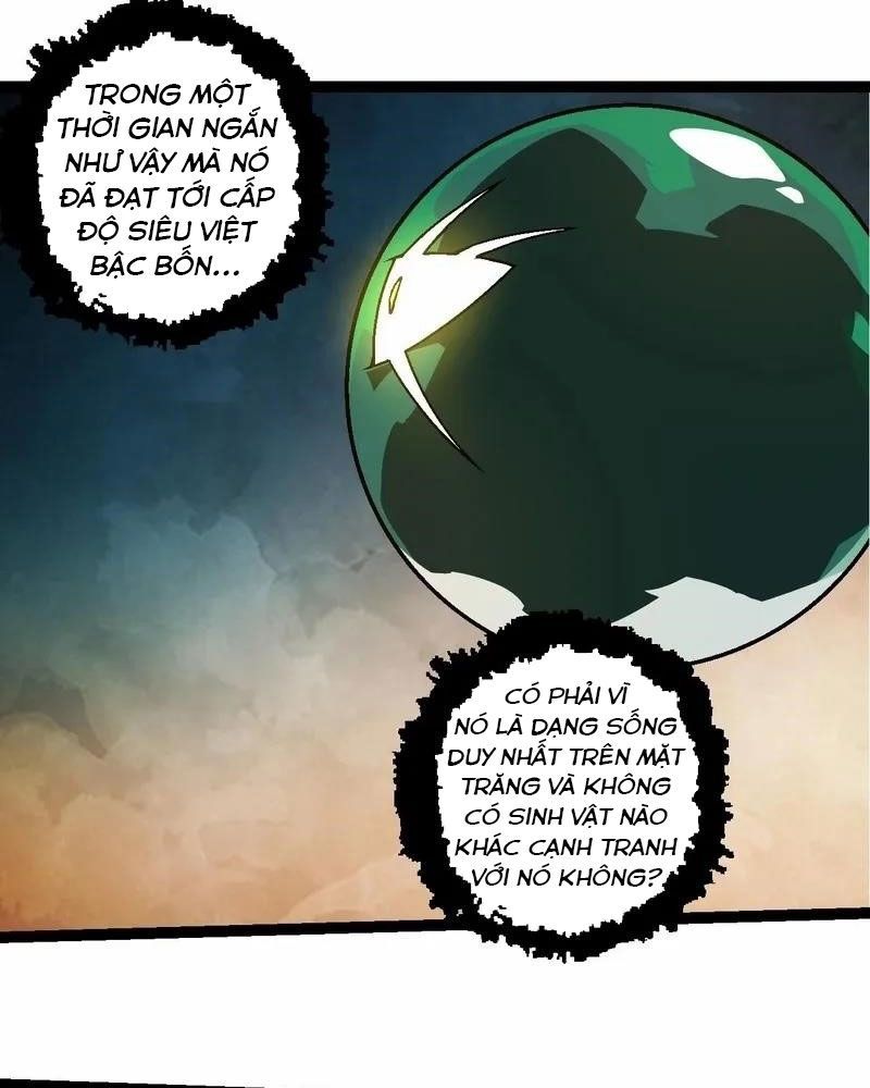page_29