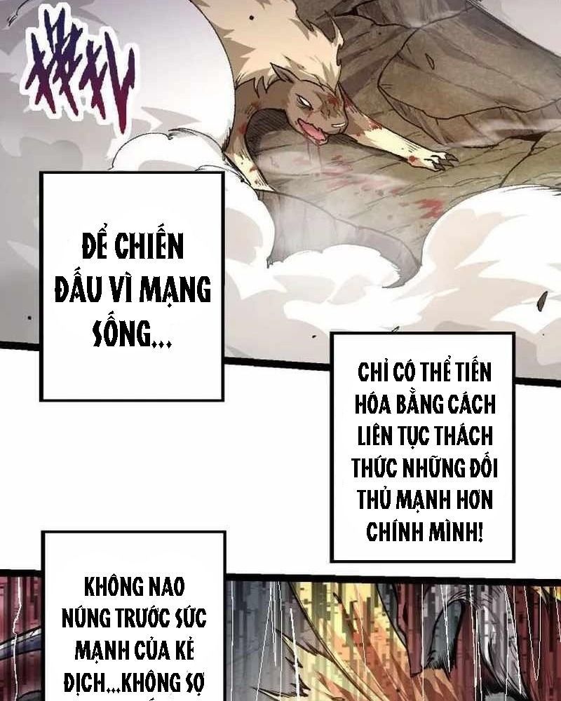 page_62