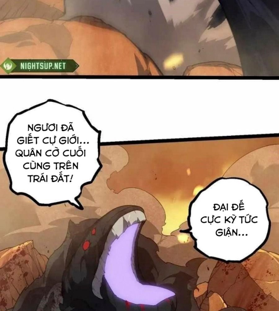 page_29