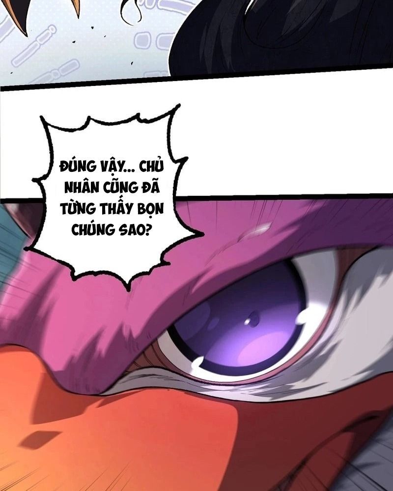 page_51