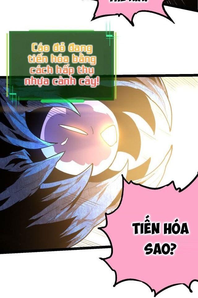 page_26