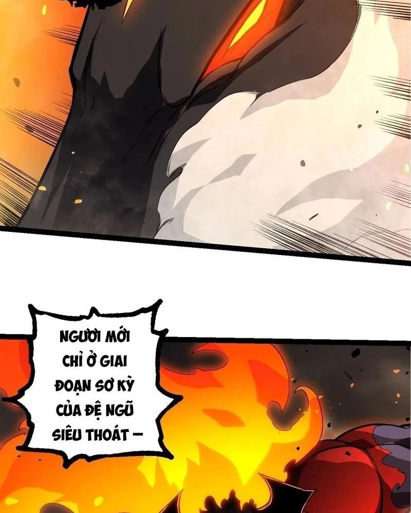 page_67