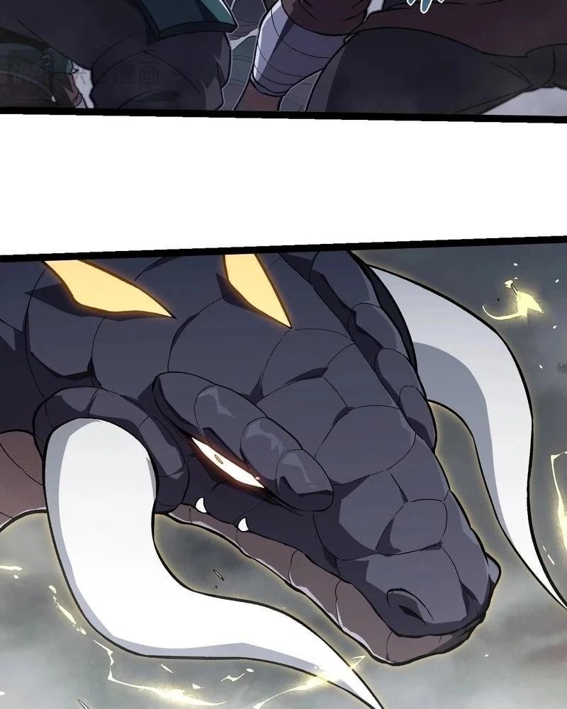 page_42