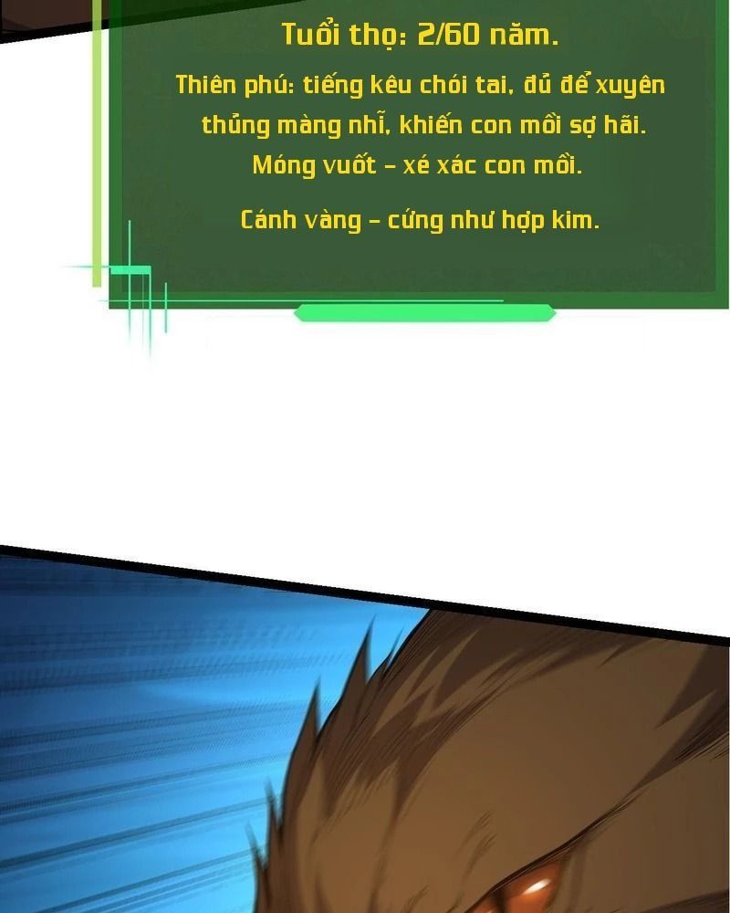 page_34