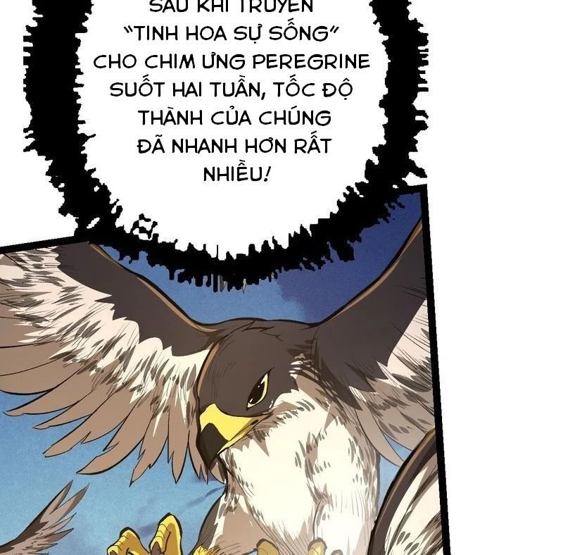 page_66