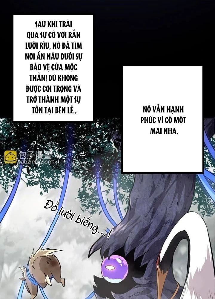 page_62