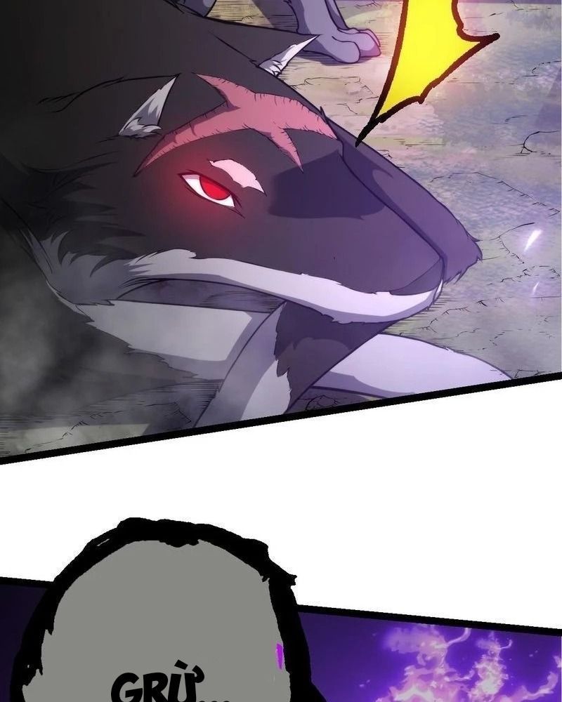 page_71