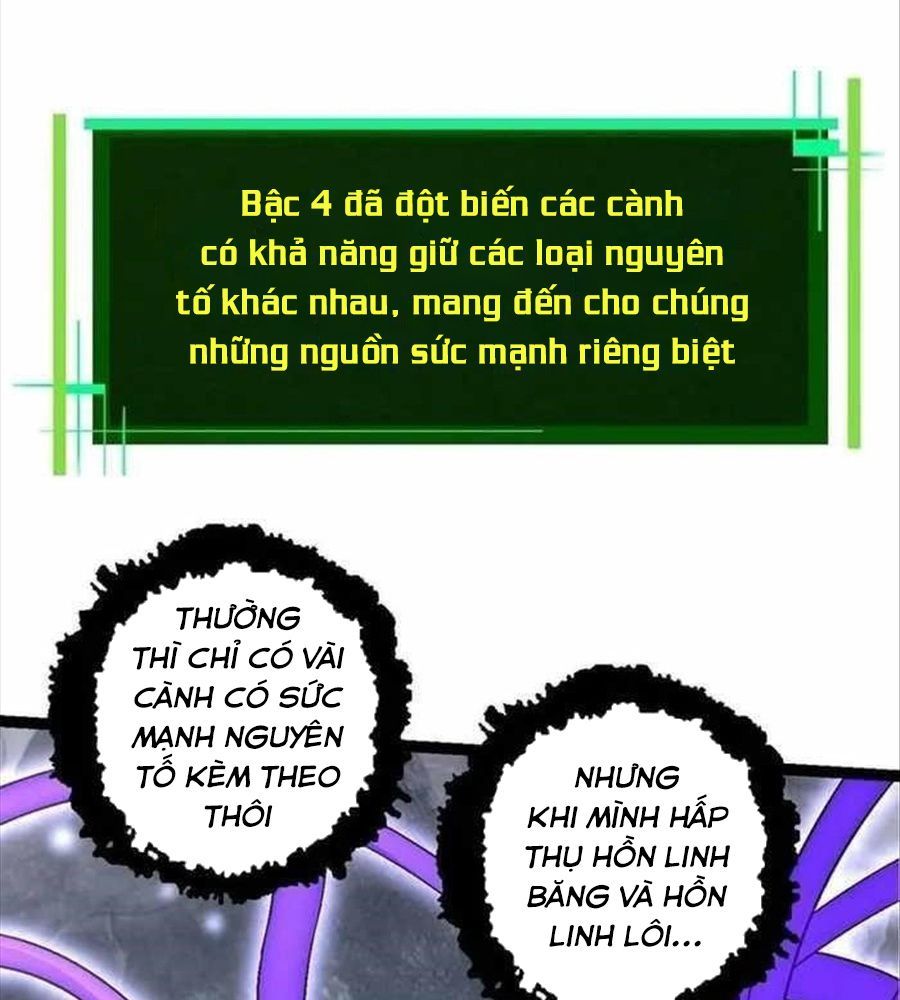 page_19