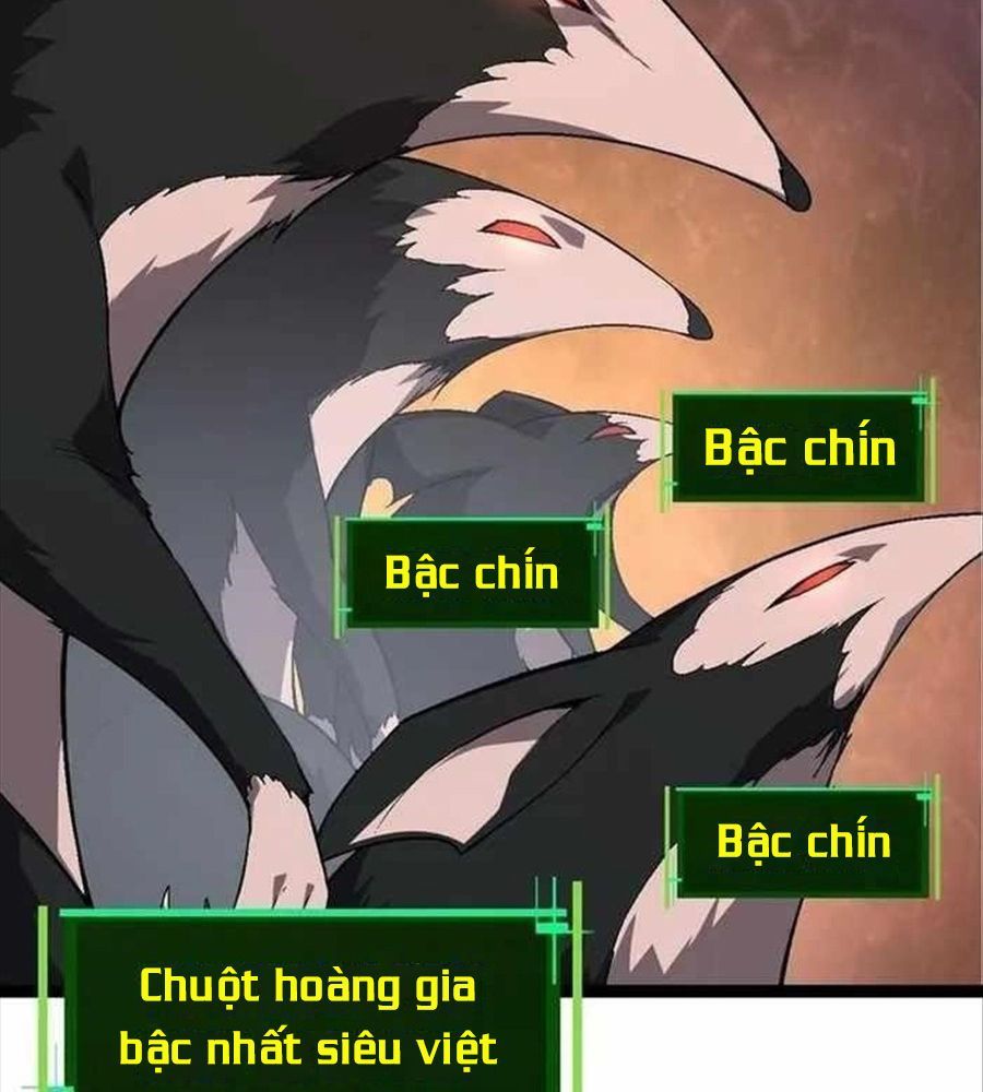 page_66