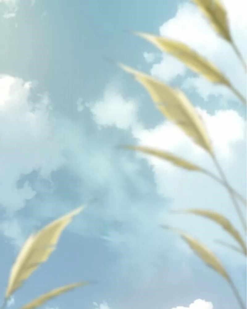 page_97
