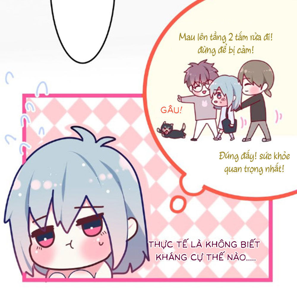 page_7