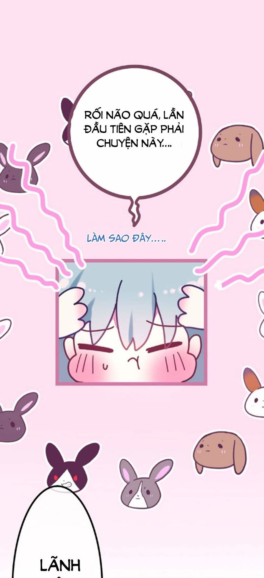 page_29