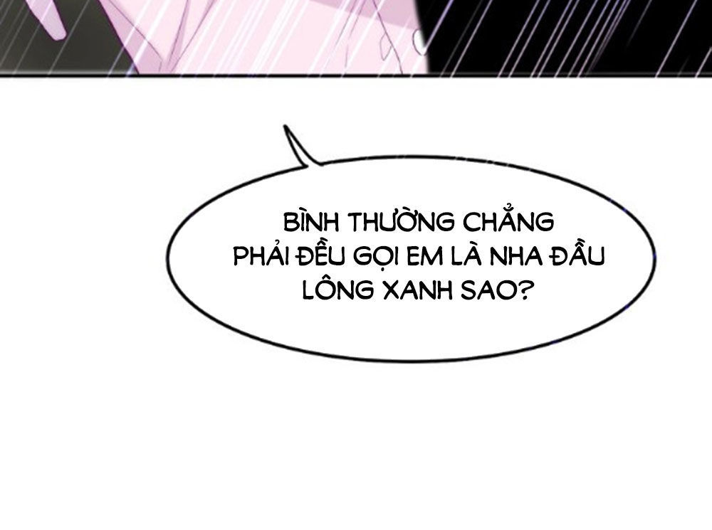 page_35