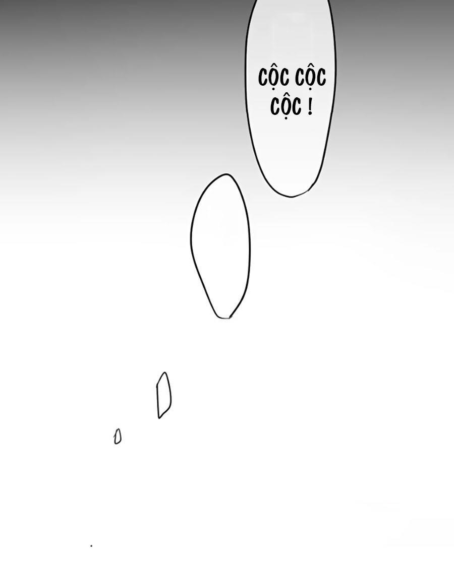 page_19