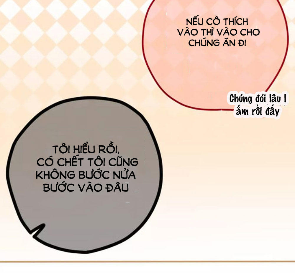 page_55