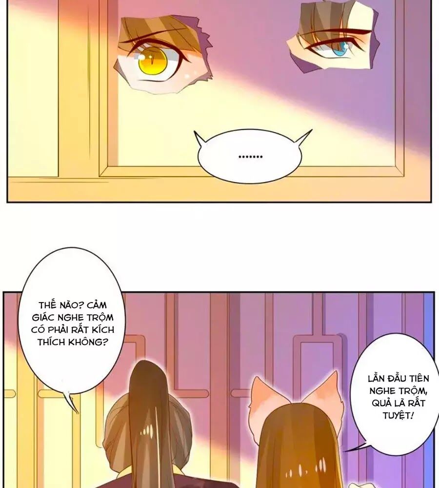 page_29