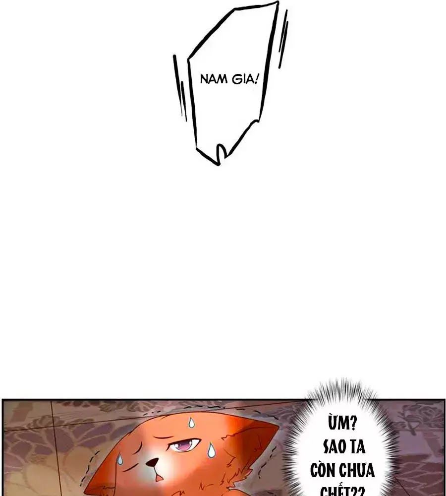 page_11