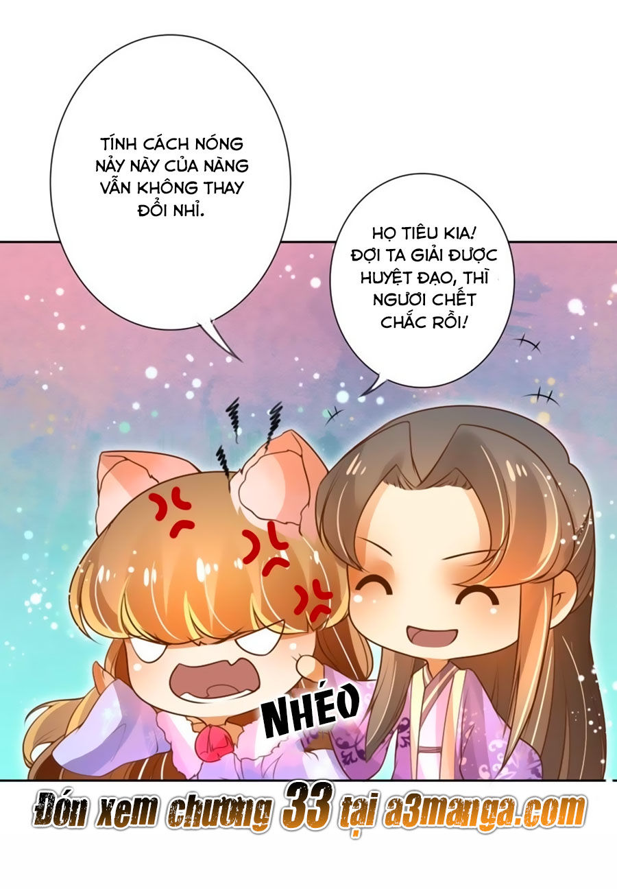 page_23