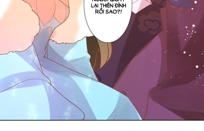 page_17