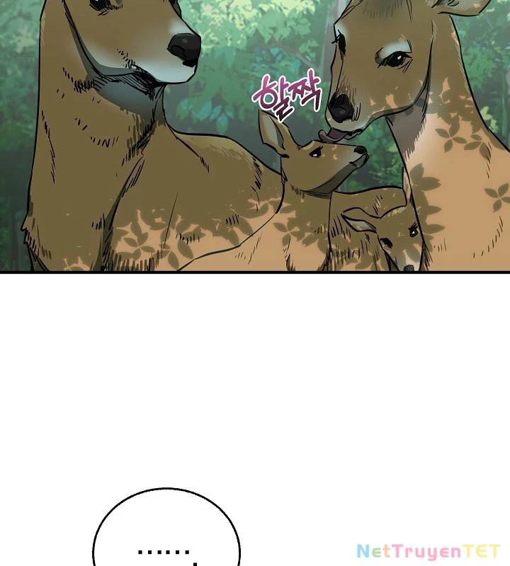 page_104