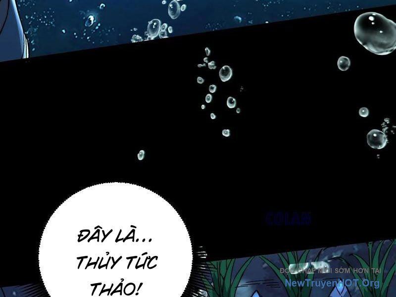 page_44