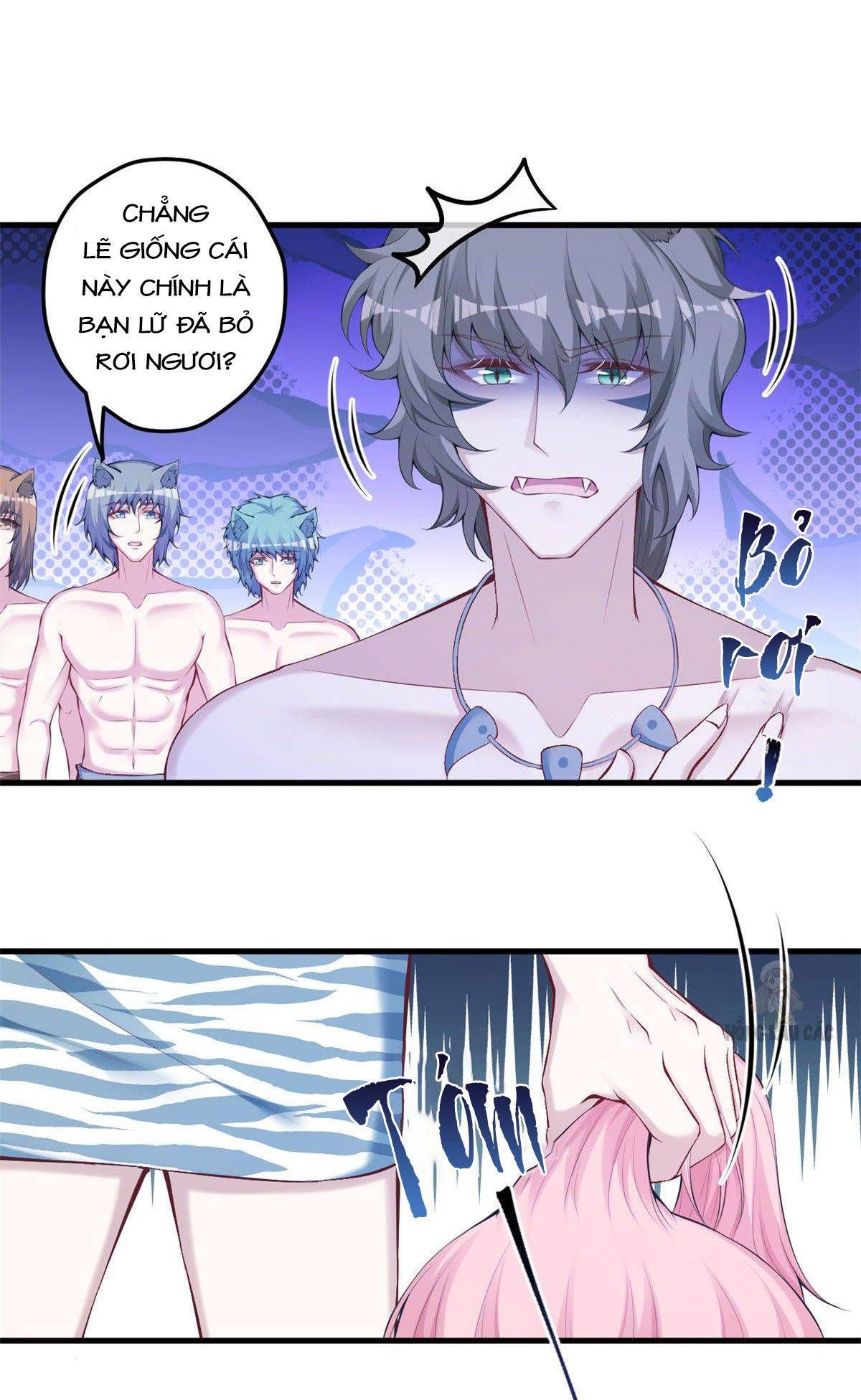 page_5