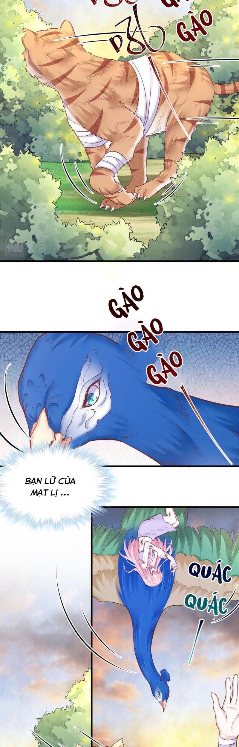 page_6