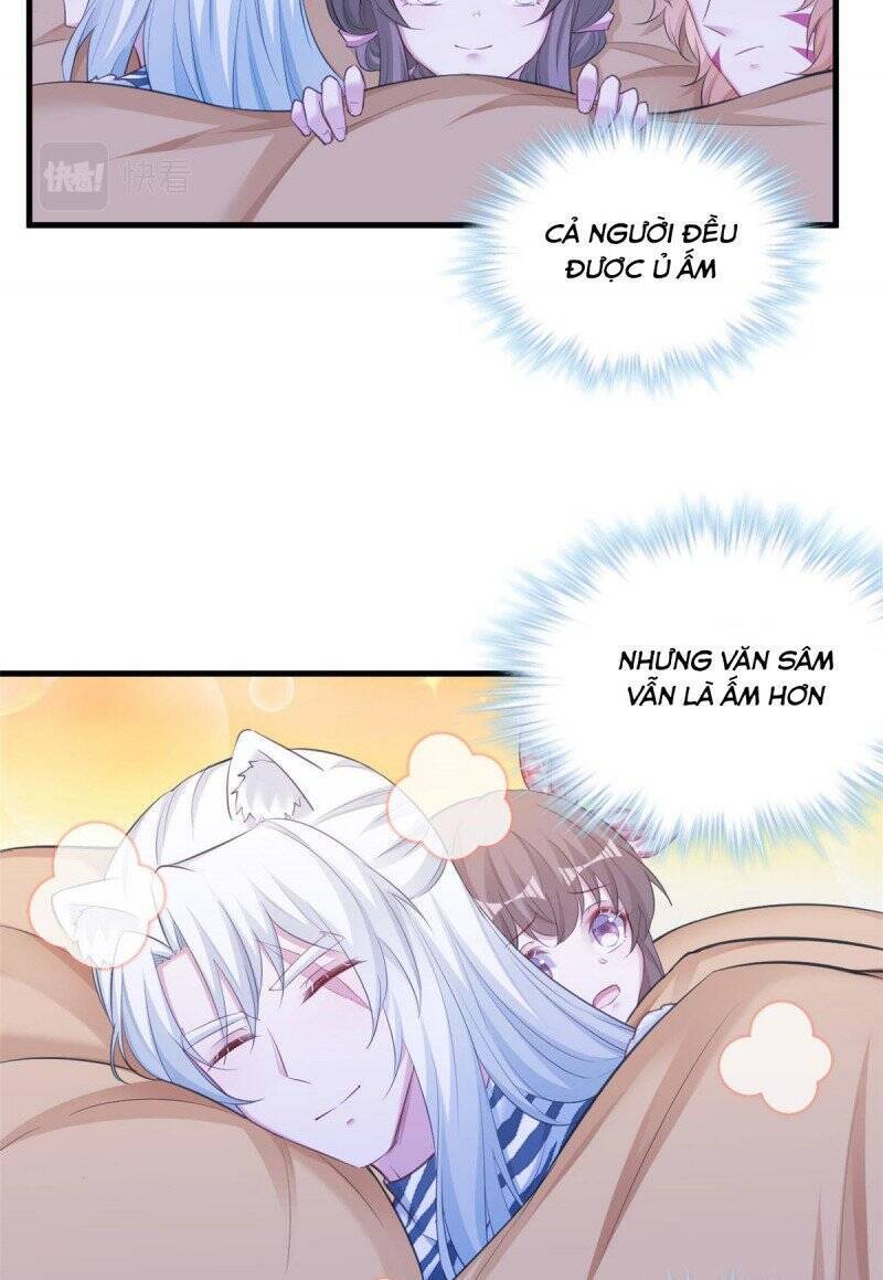 page_3