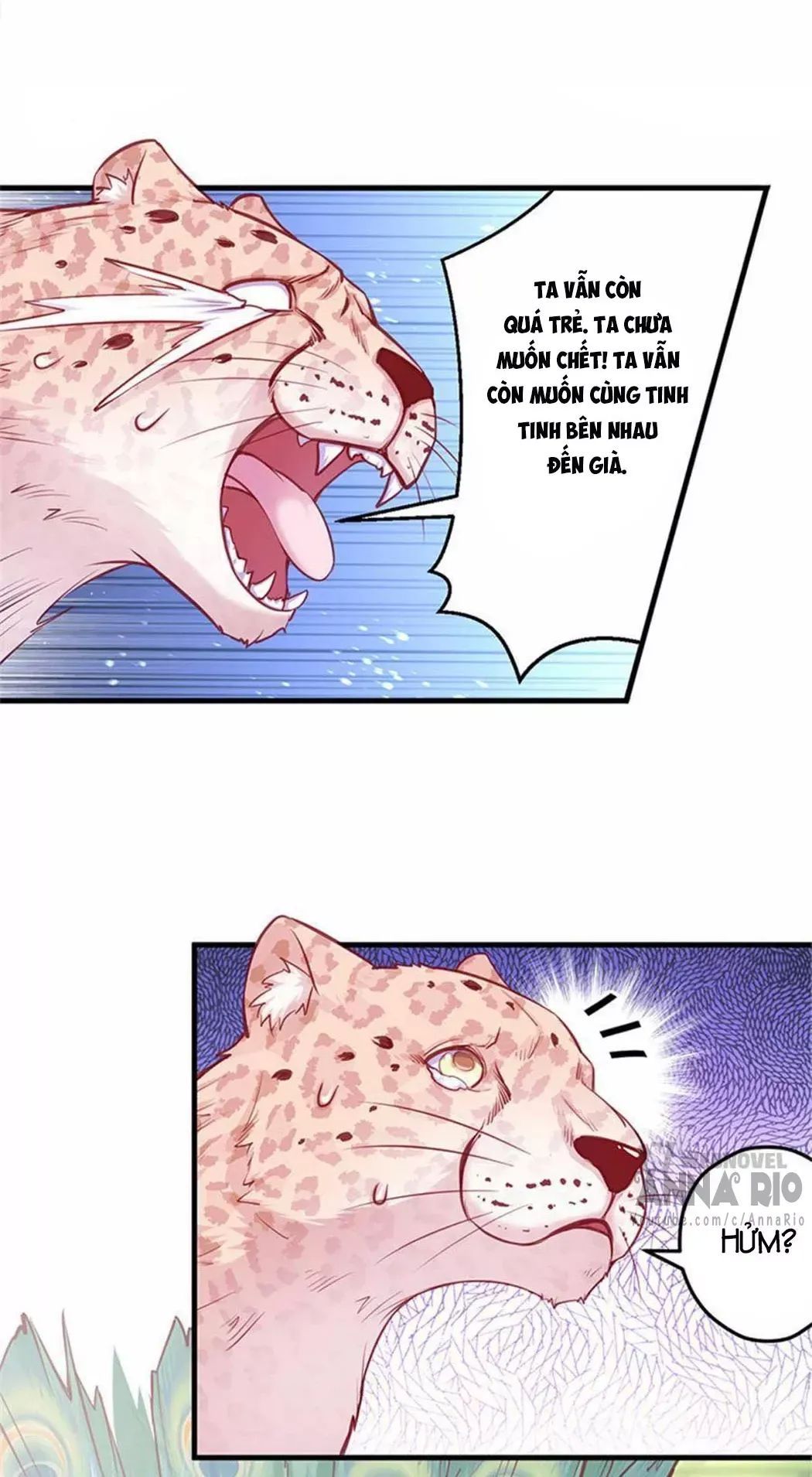 page_5