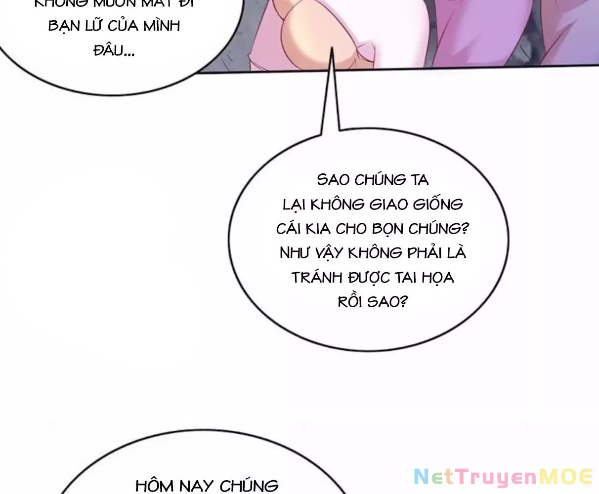 page_29