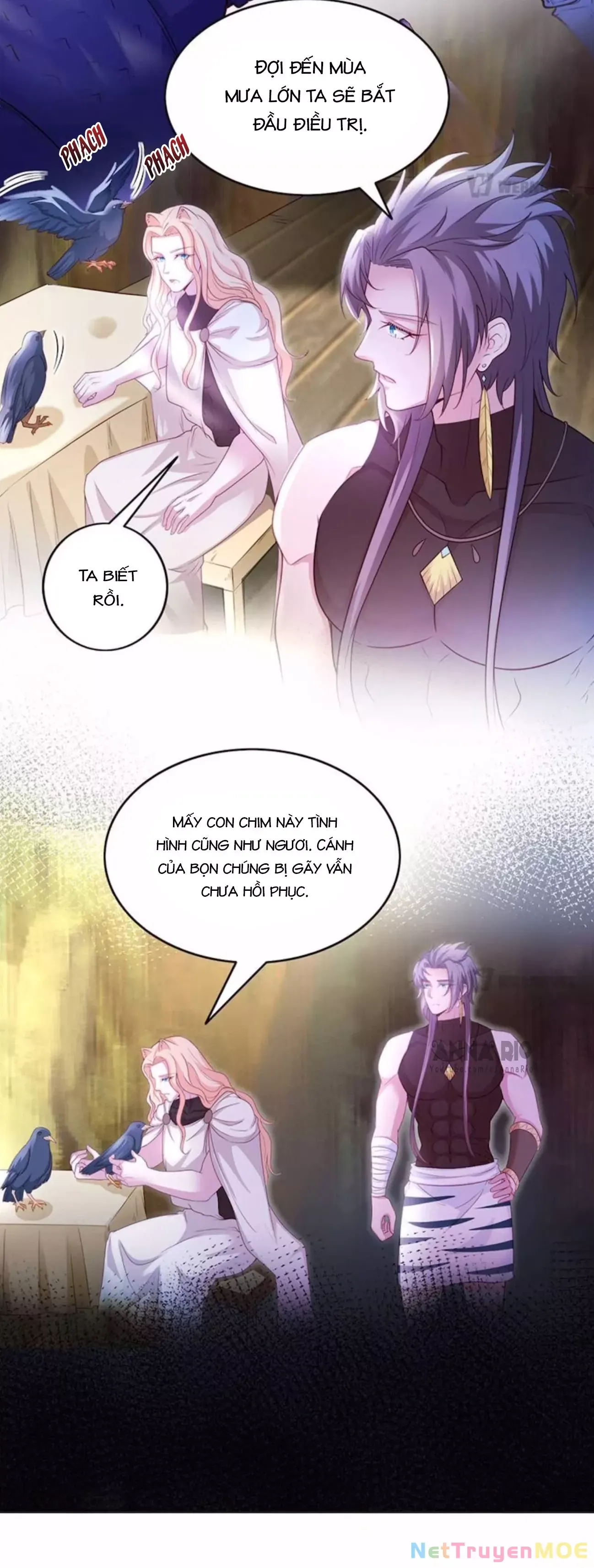 page_8