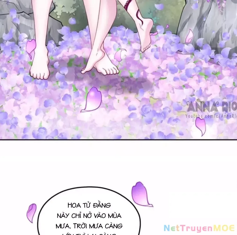 page_41
