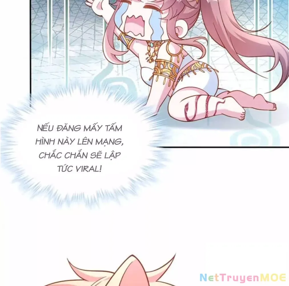 page_54