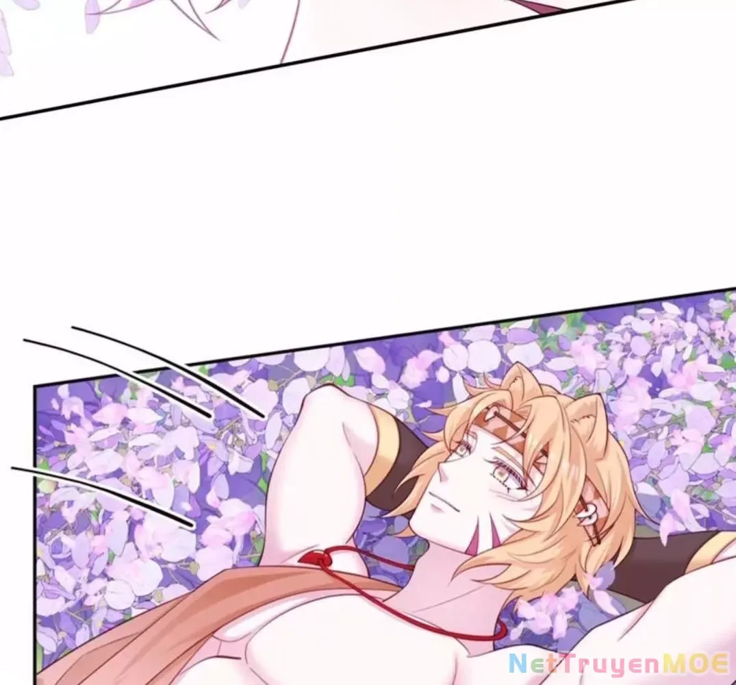 page_15