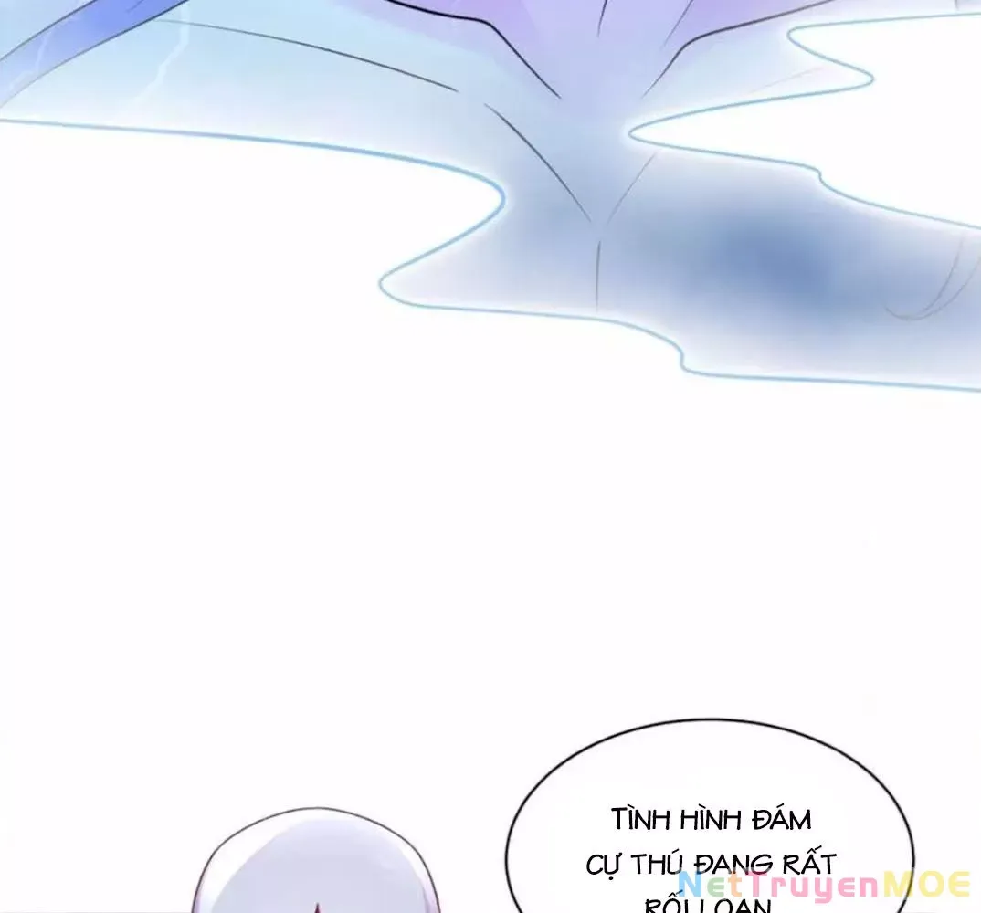 page_17