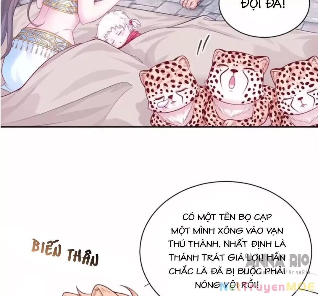 page_53