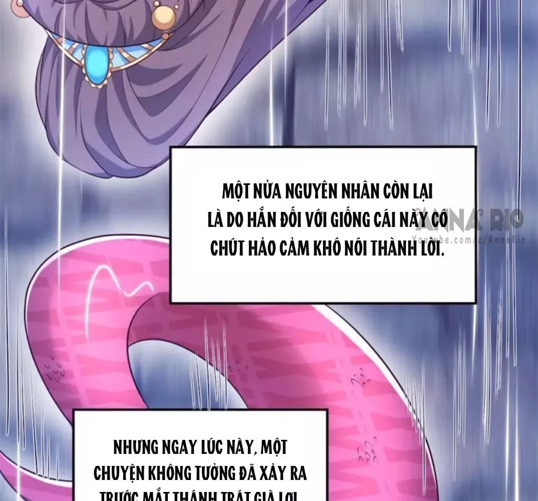 page_26