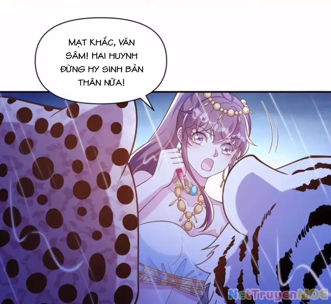 page_8